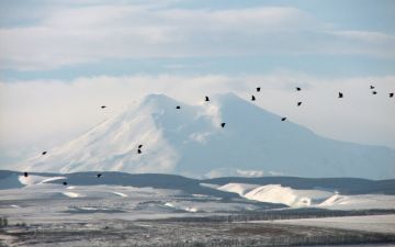Возобновление рейсов до Архыза и Приэльбрусья